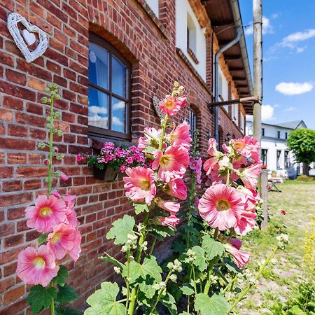 Ostsee Bauernhof Schwalbennest Ofc 15 Steffenshagen Exterior photo